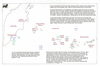 rus22 chirikov 6 master_thumb.gif